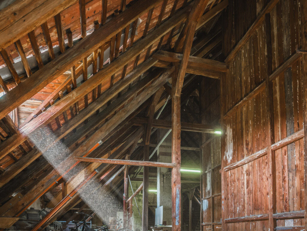 Vorlage für Bilderexport quer5 Dachsanierung eines Schlosses, umgesetzt von THON Baubetreuung GmbH